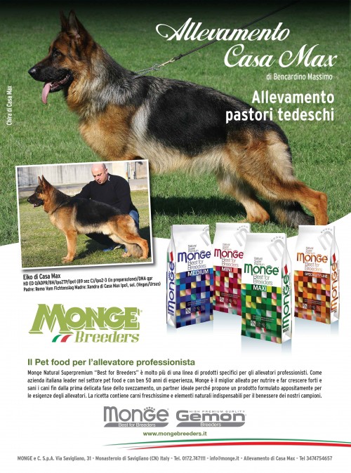 monge_breeders_casamax