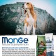 Allevamento Beagle di Rocca Traversa