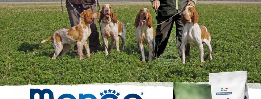 Allevamento Bracco Italiano Polcevera'sS